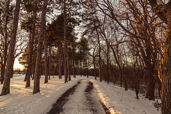 The park that almost wasn’t