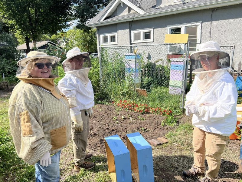 Local raw Humboldt Honey Minnesota for sale