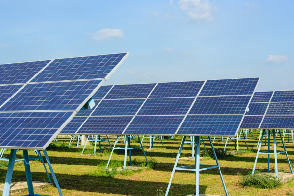 News from MN Renewable Now